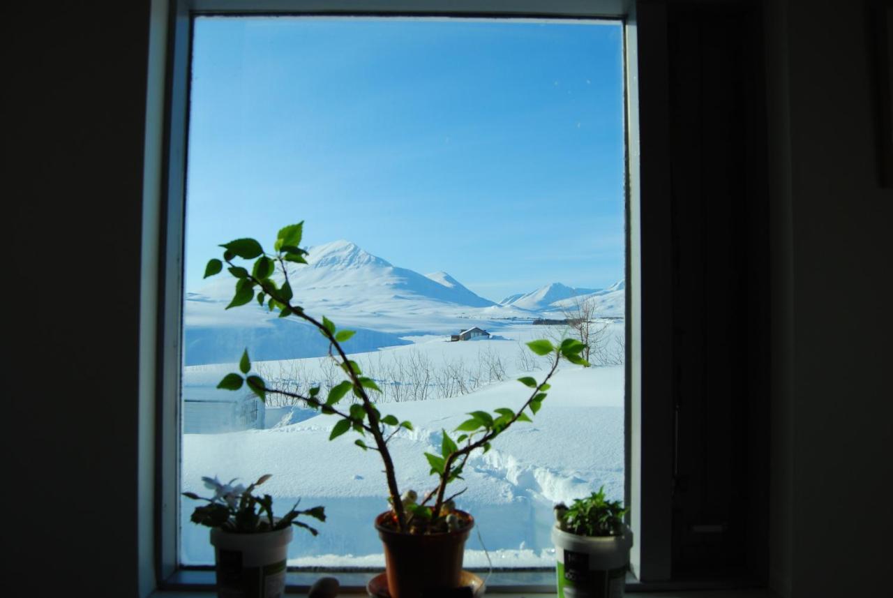 L&L Bnb - Stay'In Arbakki Arskogssandur Exteriör bild